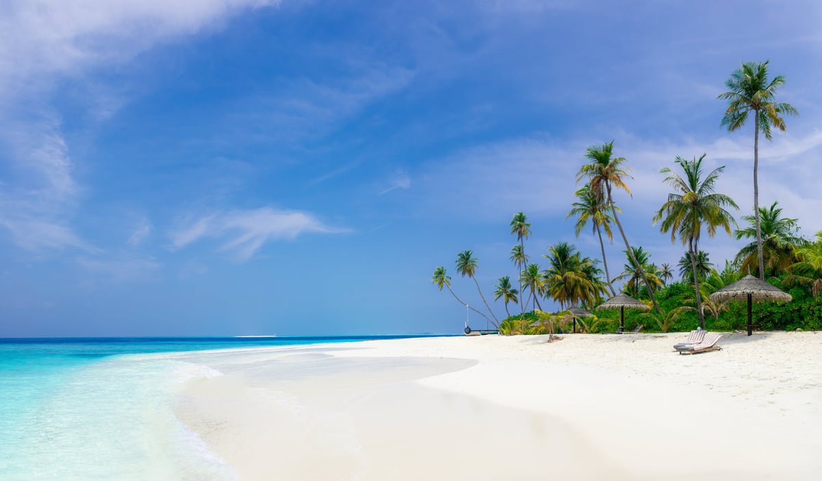 Sunny tropical Caribbean resort beach with white sand, lounger, palms and vivid turquoise sea
